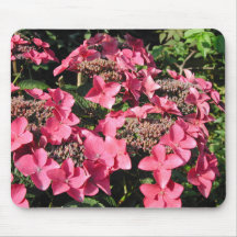Hydrangea. Pink Flowers. Mousepad