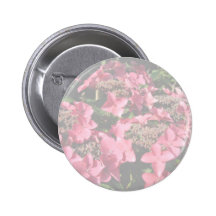 Hydrangea. Pink flowers. Soft Pastel Colours.