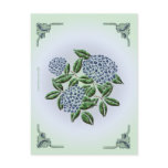 Hydrangea Postcard