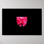 Hydrangea posters