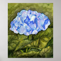 Hydrangea Watercolor Print