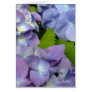 Hydrangeas Bluest Blue