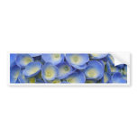 Hydrangeas bumper stickers
