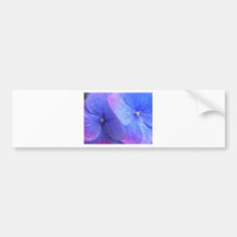 Hydrangeas Bumper Stickers