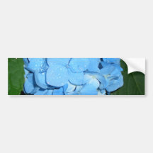 Hydrangeas CricketDiane Art,  Design & Photography Bumper Stickers