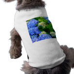 Hydrangeas Pet Shirt