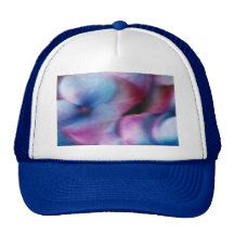 Hydrangeas in the wind mesh hats