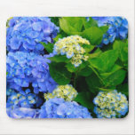 Hydrangeas Mousepads