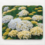 Hydrangeas Mouse Pads