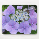 Hydrangeas mousepads