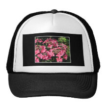 Hydrangeas. Pink Flowers on Black. Mesh Hat