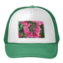 Hydrangeas. Pink Flowers. White. Trucker Hats