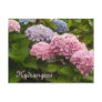Hydrangeas