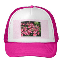 Hydrangeas. Pretty Pink Flowers. Hat