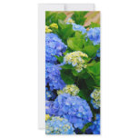 Hydrangeas rack cards