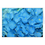 Hydrengea cards