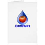 Hydroponic Tomato water drop design logo Greeting Card