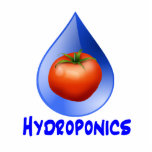 Hydroponic Tomato water drop design logo photo sculptures