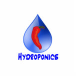 Hydroponics, chilli pepper, blue text design photo sculptures