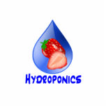 Hydroponics Design with strawberry Blue drop photo sculptures