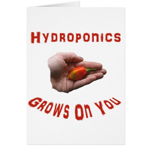 Hydroponics Grows on you Habanero Pepper Hand Card
