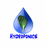 Hydroponics slogan Blue Drop with Lettuce graphic photo sculptures