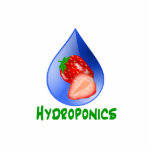 Hydroponics, strawberries, green text, blue drop photo sculptures