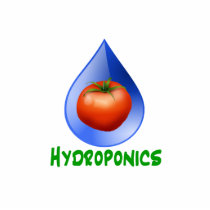 Hydroponics-Tomato, Green Text, Blue drop