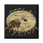 Hyena brown magnets
