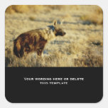 Hyena brown square stickers