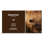Hyena business profile - customisable business card