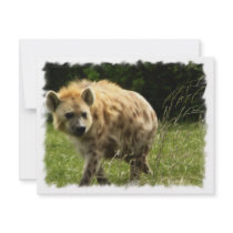 Hyena Invitations
