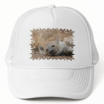 Hyena Picture Baseball Cap Hats