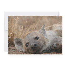 Hyena Picture Invitation