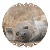 Hyena Picture Sticker