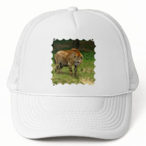 Hyena Prowl Baseball Hat
