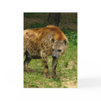 Hyena Prowl Greeting Card