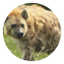 Hyena Sticker