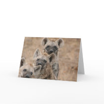 Hyenas Greeting Card