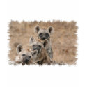 Hyenas Ladies Fitted T-Shirt