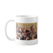 Hyena's prey with vultures mugs