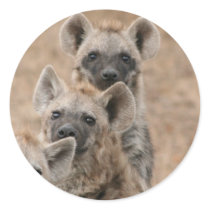 Hyenas Sticker