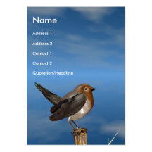 HYPER BIRDS / ROBIN RED BREAST BUSINESS CARD