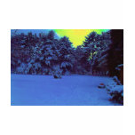 Hyper Colour Winter t-shirts