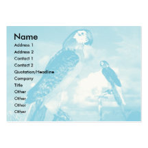 HYPER PARROTS / BLUE ARA BUSINESS CARD