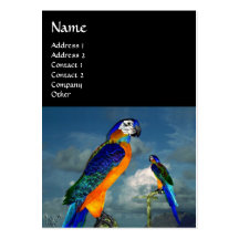 HYPER PARROTS / BLUE ARA BUSINESS CARD
