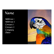HYPER PARROTS / BLUE ARA BUSINESS CARDS