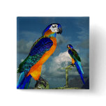 HYPER PARROTS / BLUE ARA buttons