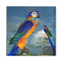 HYPER PARROTS / BLUE ARA MAGNET