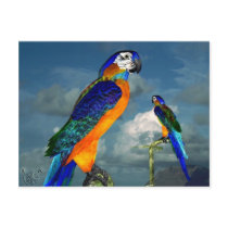 HYPER PARROTS / BLUE ARA POSTCARDS
